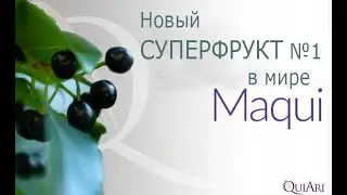 QuiAri - короткая история MaquiX