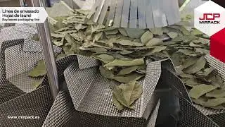 Línea de envasado de Laurel / Bay leaves packaging line
