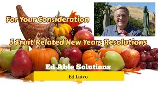 С Новым годом!! Вот 5 новогодних обещаний, связанных с фруктами, которые вы можете рассмотреть в ...