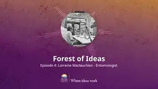 Forest of Ideas – Episode 4 – Lorraine Maclauchlan - Entomologist