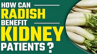 How Can Radish Benefit Kidney Patients? | Bharat Homeopathy