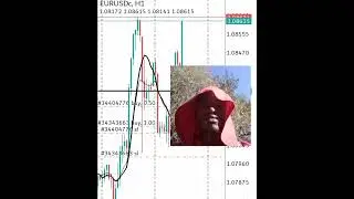 Robin hood trading news  stealing pips from the market. #lifeofatrader