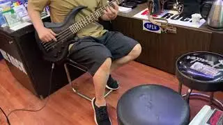 LTD TA 604 Tom Araya Model