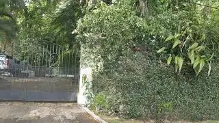 Driving Through Norbrook | Jamaica