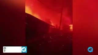 Tragic forest fire in Vi&ntilde;a del Mar, Chile