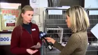 Serial animal hoarding a concern
