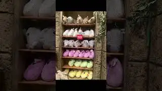Rainforest Cafe Merchandises Disney World #rainforestcafe #disneyworld