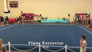 SASHA Gymnastics Level 4  Norcal State Competition 2016（体操アメリカＣＡ州大会）