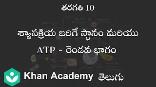 Respiration site and ATP- Part 2 [ Telugu] | Resipiration | Class 10| Science | Khan Academy