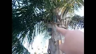 Upgrades to my weather station! (Recorded on an Olympus Stylus-9000)