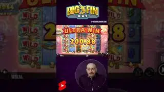 Big Fin Bay Free Spins Big Win