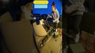 Cat with a tank #fypシ゚viral