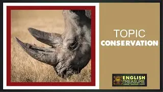 Conservation: English Treasure - Vocabulary, Listening, Pronunciation