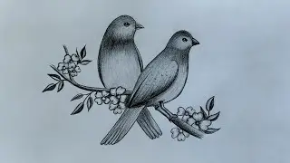 Как нарисовать двух птиц поэтапно || Урок рисования птиц карандашом
