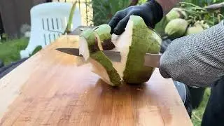 Coconut No.25 | Coconut cutting Oddly Satisfying Coconut Peeling Skills (ASMR) #coconutcutting