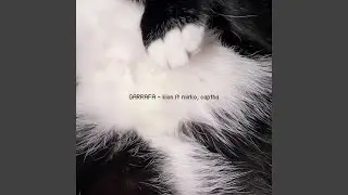 GARRAFA - kion ft mirko, captha