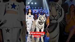 Ultimate Magic Videos: Mind-Blowing Tricks You Must See!