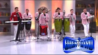 Llegaste a mi -Efrén David-
