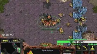 Scan[KaL],Enthral ZT VS ZP [neox]abuse,GangAzi Game 2