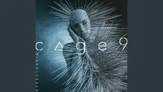 Ice Aege