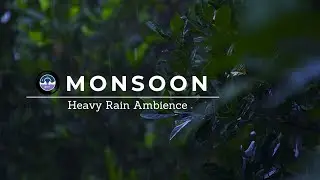 Heavy Monsoon Rain &middot; 1 Hour