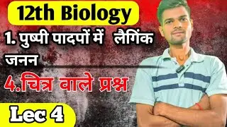 पुष्पी पादपों में लैगिंक जननLec4 Sexual Reproduction in Flowering plants Raj Board Classes RBClasses
