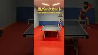 short-pips backhand cut(chop) 表ソフトのバックカット #chopper #カットマン #pingpong #卓球 #tabletennis
