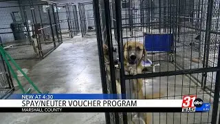 Marshall County offers pet spay-neuter help for low-income families