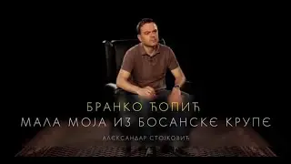 Александар Стојковић, 