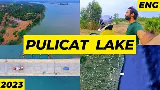 Pulicat Lake: A Weekend Getaway for Nature Lovers