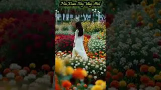 Nếu Xu&acirc;n N&agrave;y Vắng Anh | ST: Bảo Thủ