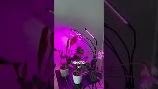 Артикул 480148443.