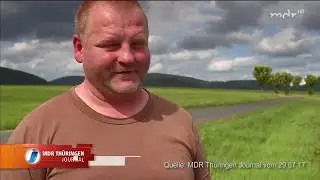 Wolf in Th&uuml;ringen gesichtet   MDR Th&uuml;ringen Journal
