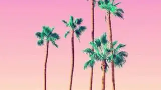 Tropical House Beat #5 Bongos [clean free download link at description]