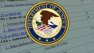 Majority of criminal cases in Palm Beach County now immigration-related