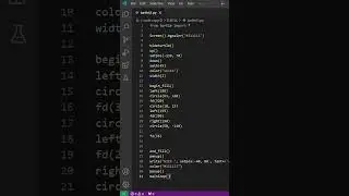 Amazing NIKE Brand By Turtle Python #coding #programmingtutorial #css3animation #html5