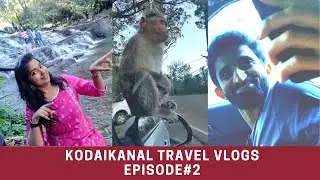 KODAIKANAL VLOGS | EPISODE#2 | VATTAKANAL WATERFALLS| COAKERS WALK| UPPERLAKE VIEW POINT |TRIP DAY#3