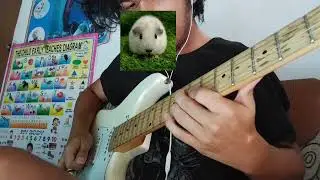What if Basket Case had a guitar solo?