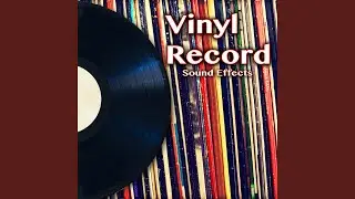 Record Scratch Needle
