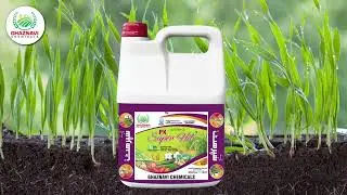 PK Super Hit by Ghaznavi Chemicals &ndash; The Ultimate Phosphorus & Potassium Power Formula for Wheat