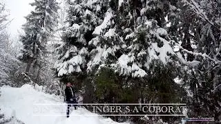 Nicu Drăghici -  Din cer un înger s-a coborât (colinde creștine)