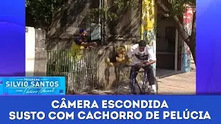 Susto com Cachorro de Pel&uacute;cia | C&acirc;meras Escondidas (21/06/23)