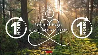 1 Hour Soothing Music With Gentle Nature Sounds For Stress Relief Meditation Sleep Relaxation Focus