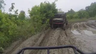 Hillarosa 2017