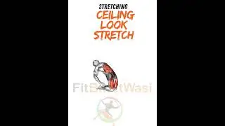 Ceiling Look Stretch FitBharatWasi App