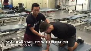 Scapular stability with thoracic rotation