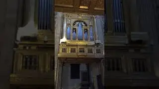 Duomo di Parma, Cattedrale di Santa Maria Assunta. Parma Cathedral
