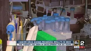 New cancer drug showing promising results in mice