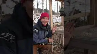 S&aring;nn mater du sm&aring;fuglene i vinter ❄🥰🐦