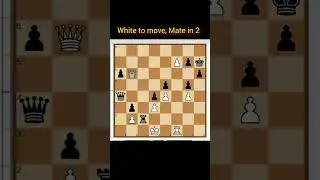 ||Mate in 2|| #shorts #chess  #checkmate #learnchess  #tactics #chessforbeginners #chessmatetricks